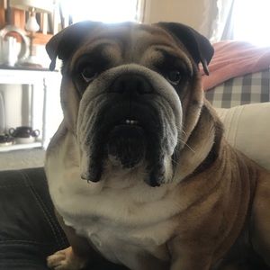 Meet your Posher, Leslie